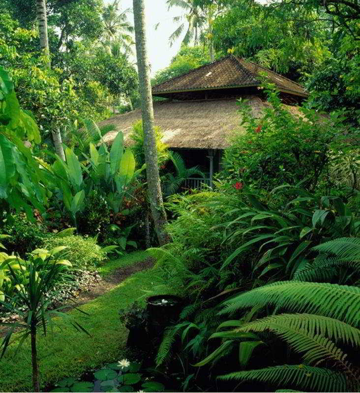 Taman Bebek Bali Hotel Ubud Eksteriør billede