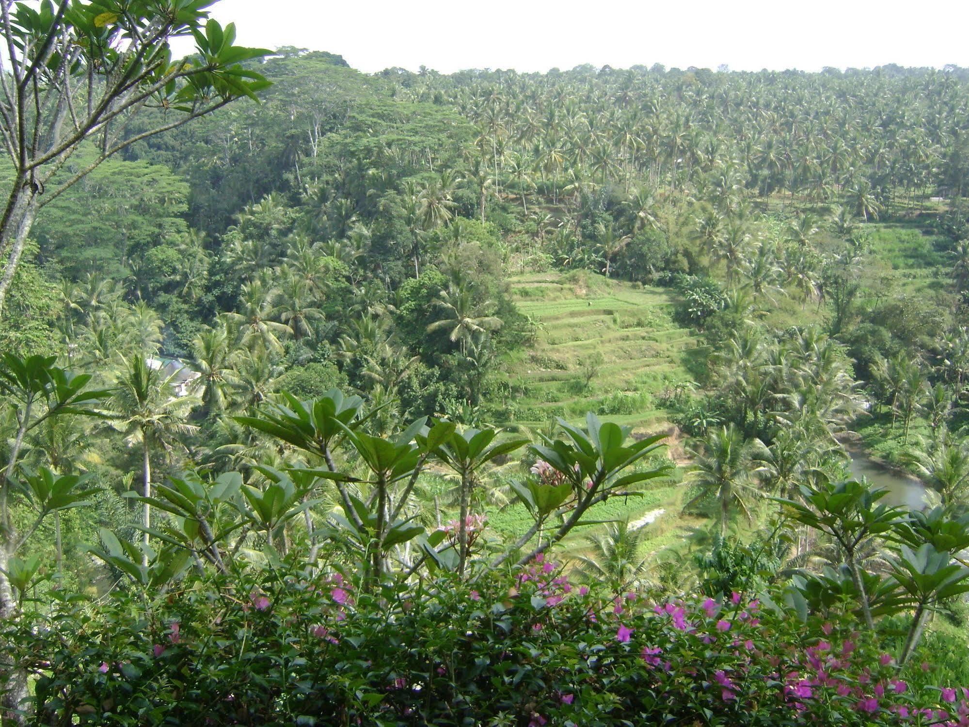 Taman Bebek Bali Hotel Ubud Eksteriør billede