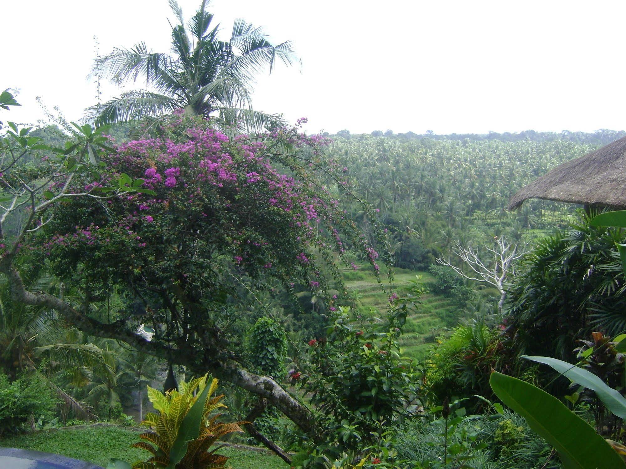 Taman Bebek Bali Hotel Ubud Eksteriør billede