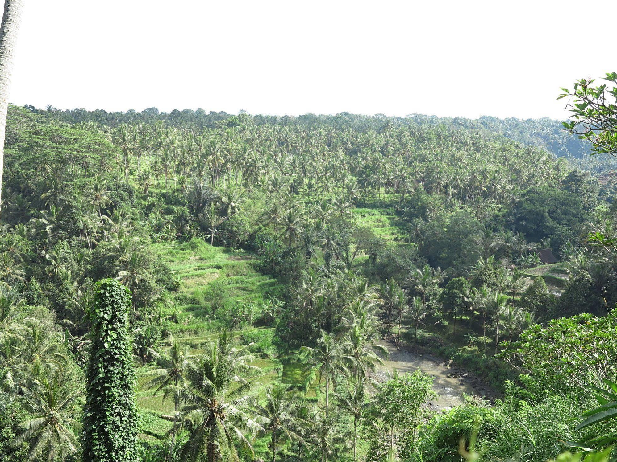 Taman Bebek Bali Hotel Ubud Eksteriør billede